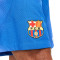 Pantalón corto Nike FC Barcelona Segunda Equipación Authentic 2023-2024