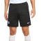 Nike Inter Milan Training 2023-2024 Shorts