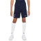 Nike Tottenham Segunda Equipación 2023-2024 Niño Shorts