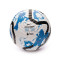 Nike Colección Premier League 2023-2024 Ball