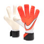 Vapor Grip 3 RS Profesional
