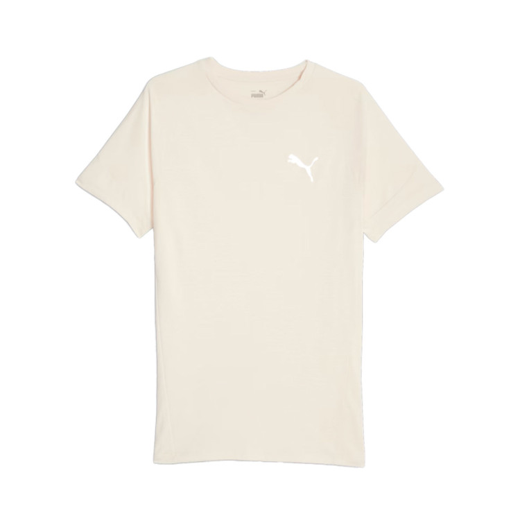 camiseta-puma-evostripe-alpine-snow-2.jpg