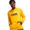 Puma Essentials+ 2 Col Big Logo Sweatshirt