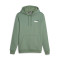 Sudadera Essentials+ 2 Col Small Logo Eucalyptus