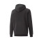 Puma Essentials Small Logo Hoodie Sweatshirt