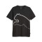 Camisola Puma Graphics Big Cat