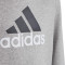 Sudadera Big Logo 2 Niño Medium Grey Heather-White