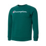 American Classics Big Logo Crew Niño Green