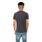 Camiseta American Classics Big Logo Niño Gris Oscuro