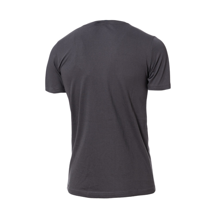 camiseta-champion-american-classics-big-logo-nino-gris-oscuro-1.jpg