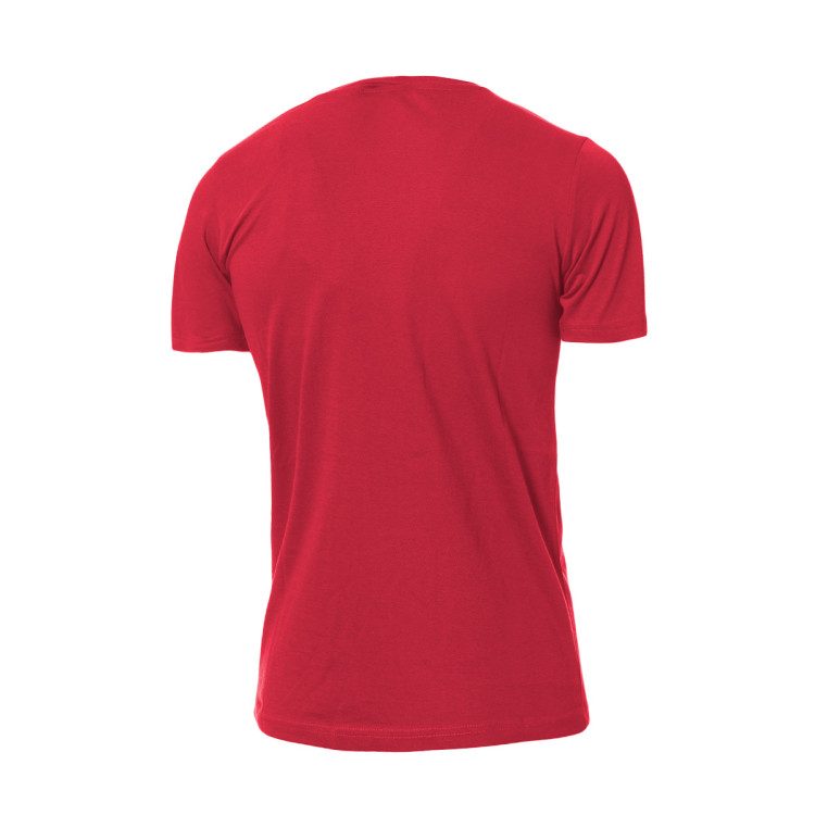camiseta-champion-american-classics-big-logo-nino-burgundy-1