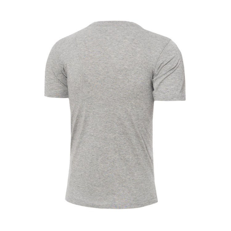camiseta-champion-graphic-shop-nino-gris-1