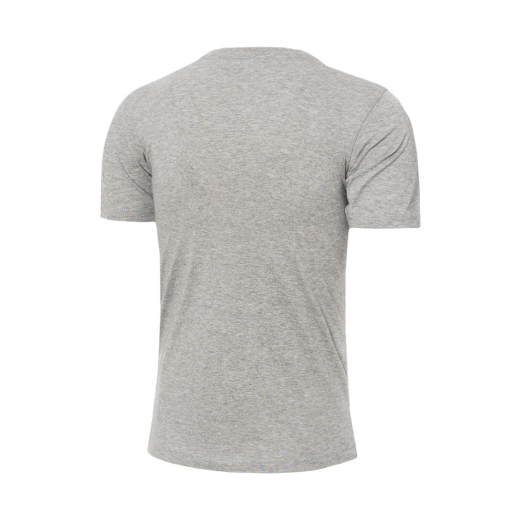 camiseta-champion-graphic-shop-nino-gris-1.jpg