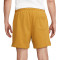 Nike Club French Terry Flow Shorts