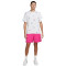 Camiseta Sportswear M90 Lbr Aop White