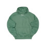 Small Signature Os Heavy Sweat Hoodie Green