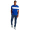 Le coq sportif Bat Tricoloren°2 Jersey