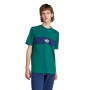 NY cutline Collegiate Green