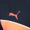 Puma IndividualRISE Pullover