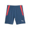 Puma TeamLIGA Shorts