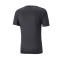 Camiseta IndividualRISE Logo Asphalt-Black