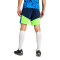 Pantalón corto IndividualCUP Persian Blue-Pro Green