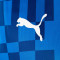 Puma IndividualRISE Graphic Pullover