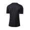 Camiseta IndividualRISE Graphic Asphalt