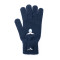 Guantes Lazio 2024-2025
