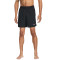 Nike Dri-Fit Callenger Shorts