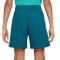 Pantalón corto Dri-Fit Multi Niño Geode Teal-Clear Jade