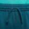 Pantalón corto Dri-Fit Multi Niño Geode Teal-Clear Jade
