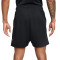 Nike Dri-Fit FC Shorts