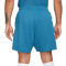 Nike Dri-Fit FC Shorts