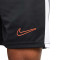 Pantaloncini Nike Dri-Fit Academy 23