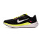 Nike Air Winflo 10 Running shoes