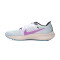 Nike Air Zoom Pegasus 40 SE Running shoes