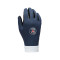 Guantes Paris Saint-Germain FC 2024-2025