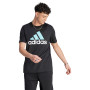 Big Logo Black-Light Aqua