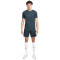 Kratke hlače Nike Dri-Fit Academy
