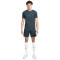 Nike Dri-Fit Academy Shorts