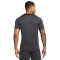 Camiseta Nike Dri-Fit Academy