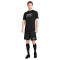 Camiseta Dri-Fit Graphic Black-White