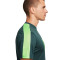 Nike Dri-Fit Graphic Pullover