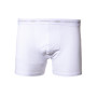 Boxer Cotton-White