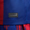 Nike FC Barcelona Home Jersey Stadium 2023-2024 Jersey