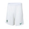 Pantaloncini Nike Sporting Club Portugal Seconda Divisa 2023-2024