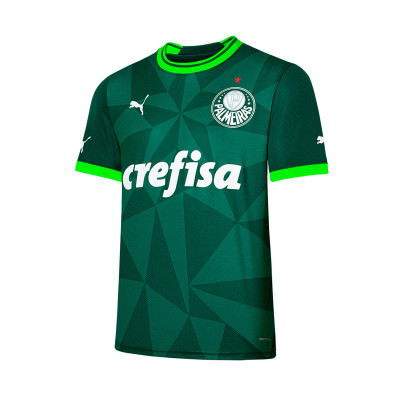 Maillot Palmeiras Maillot Domicile 2023-2024