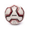 Balón Torino 2023-2024 Burdeos