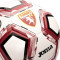 Balón Torino 2023-2024 Burdeos